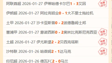 申花主场力克神户胜利船，亚冠赛场再获胜利